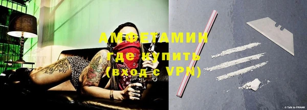 крисы Горняк