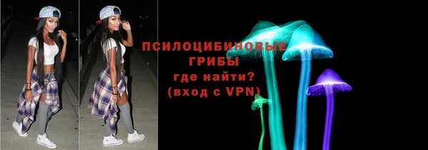 крисы Горняк