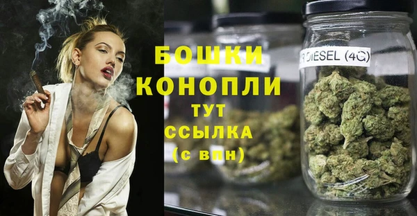 Альфа ПВП Горно-Алтайск