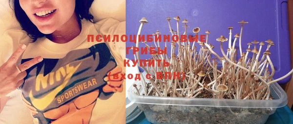 крисы Горняк