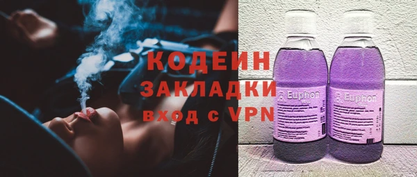 крисы Горняк
