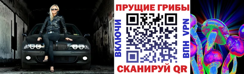 Галлюциногенные грибы Psilocybe  Джанкой 